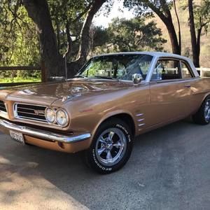 Meet your Posher, Joe